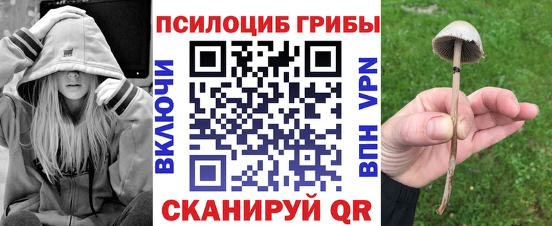 Галлюциногенные грибы мицелий Анжеро-Судженск